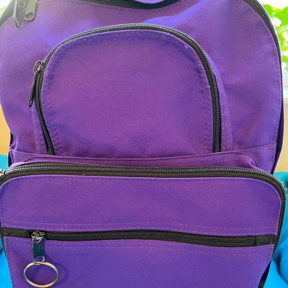 Ridgefield Backpack: purple